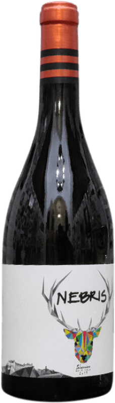 González Palacios Nebris Bajo Velo Lebrija Palomino Fino 75 cl. – Image 2