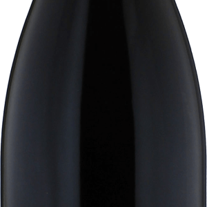 Saumur champigny terres chaudes domaine des roches neuves 2022 bon plan