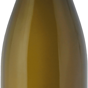Saumur terres domaine des roches neuves 2022 en stock