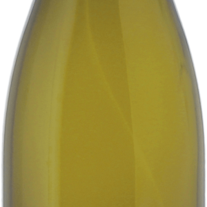 Sancerre domaine vincent pinard les créots 2023 tendance